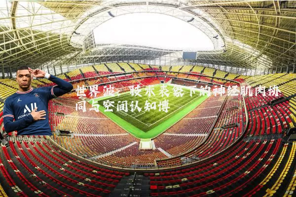 世界波：技术表象下的神经肌肉协同与空间认知博弈